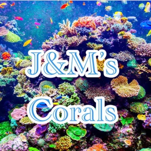 jandmcorals
